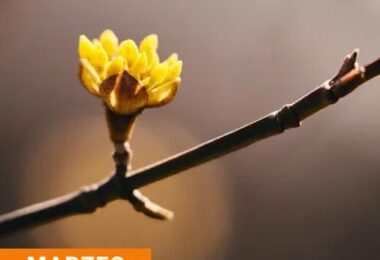 PODSUMOWANIE MARZEC 2024