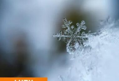 Podsumowanie lutego 2024 – kolejne sukcesy centrum!